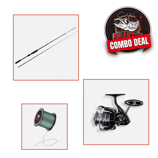 Abborre allroundkit: Favorite X1C 702MH 7-28g, 2-del + Daiwa Ninja Black LT2000, Haspel (inkl påspolad flätlina)